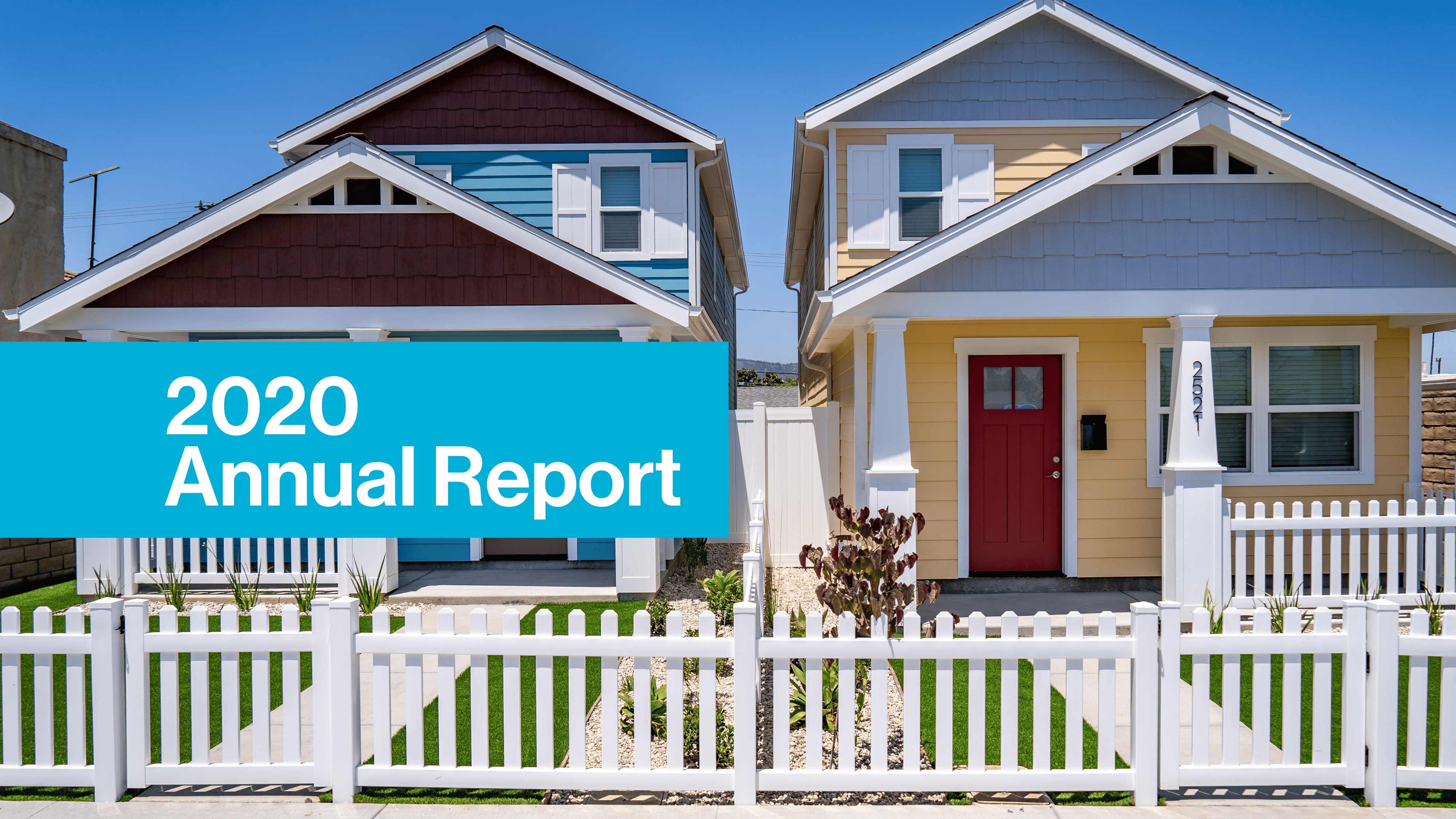 Annual Report 2020